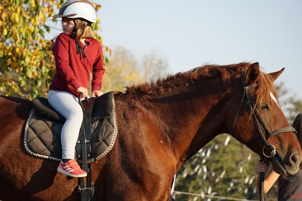 Terapeutické a výcvikové jízdy na koních